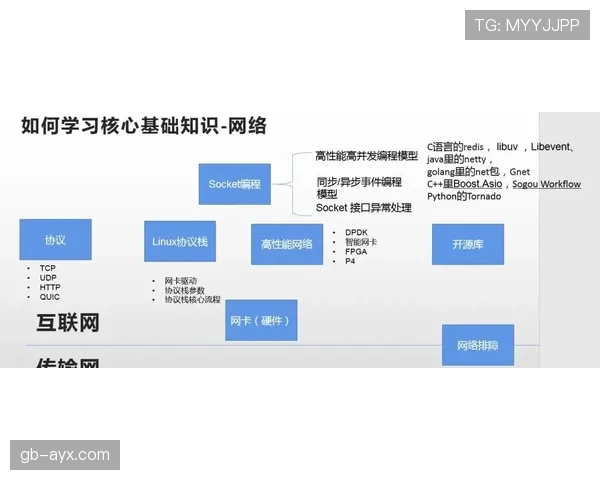 佩德里技术全面性与核心角色上限分析 佩德里技术全面性与核心角色上限分析